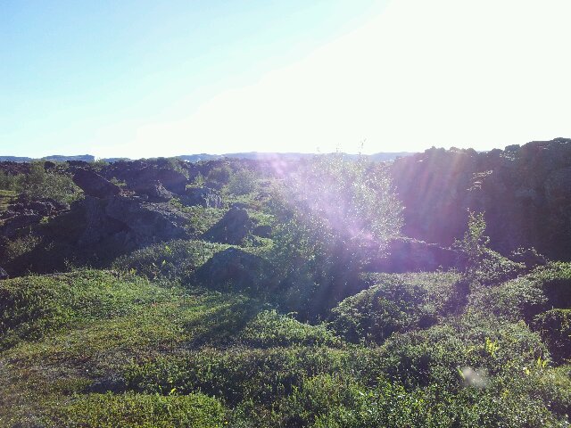 Morgen am Mývatn 